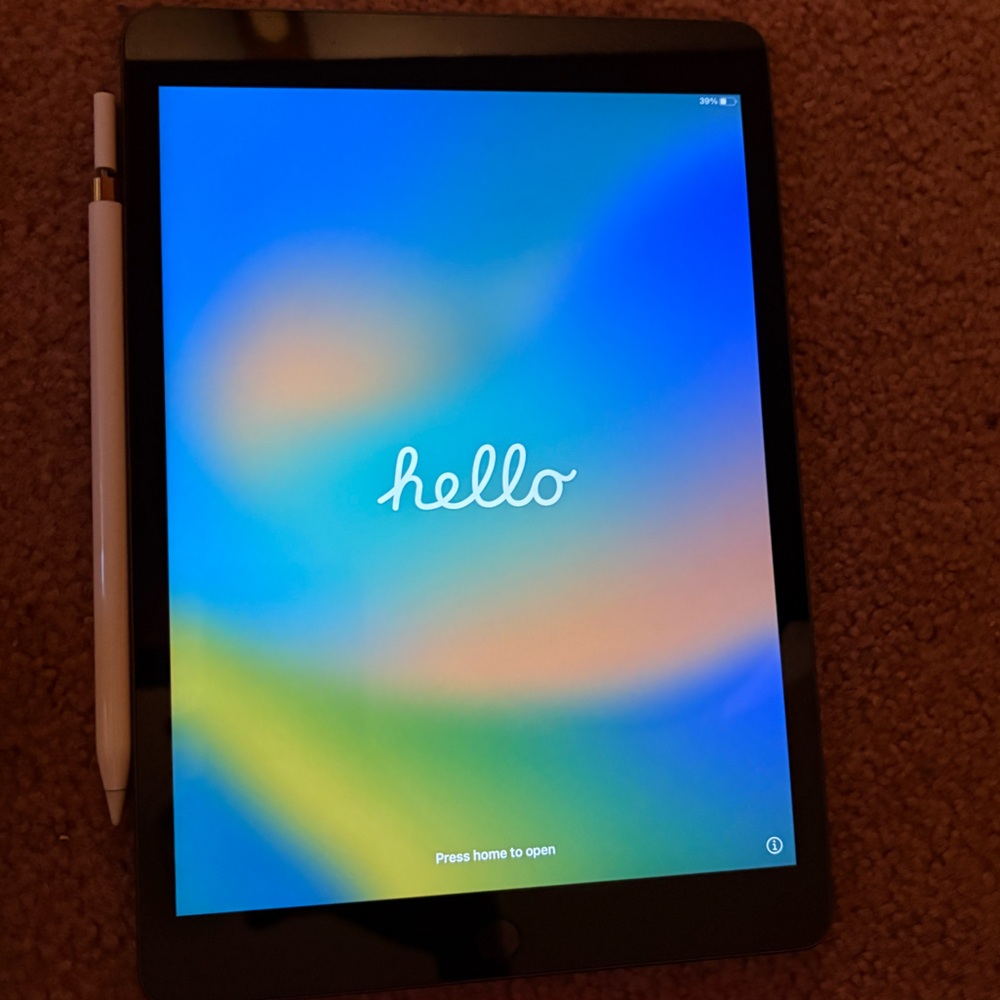 Apple Black Tablet with White Stylus